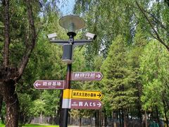 -大望京公园
