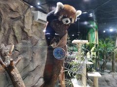 -海合安武汉极地海洋公园