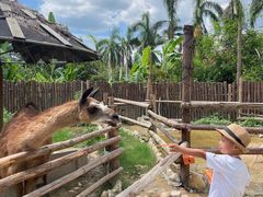 -泉州海丝野生动物世界