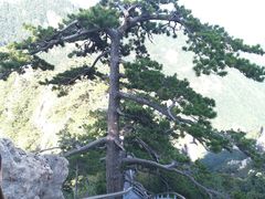 -尧山风景区