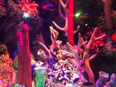 -沈阳海洋探索中心