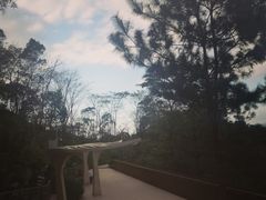 -飞凤山奥体公园