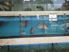 水产区-秋姐美食店(旅游大道店)