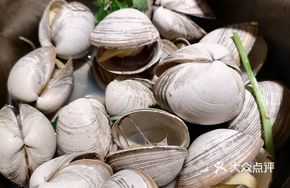 Wood Bucket Fresh Clam