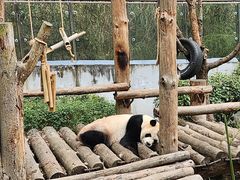 -黔灵山公园