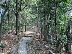 -西湖风景区十里琅珰-五云山