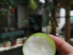 -湖山人家·湖景餐厅·特色农家菜(太湖西山店)