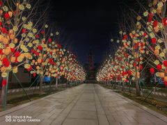 -龙华寺