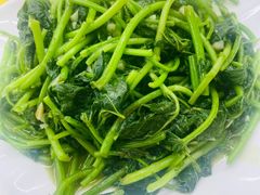 蒜蓉炒番薯叶-汤氏美食台山水步特色黄鳝饭(龙津东路店)