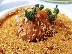 -小贝壳酒楼(经九路店)