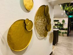 -青青一生美皮肤管理