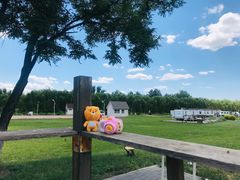 -天津武清北运河郊野公园房车露营地