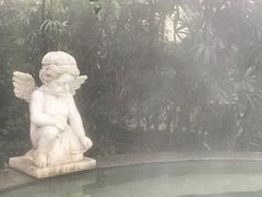 -仁爱团泊湖温泉中心
