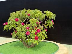 -太阳宫公园