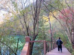 -叠溪松坪沟景区