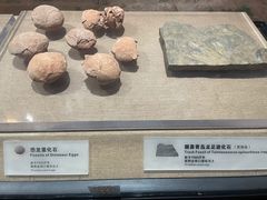 -烟台市博物馆