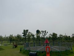 -上海长兴岛郊野公园