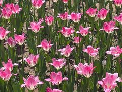 -长春公园(普阳街道)