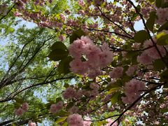 -唐城墙遗址公园