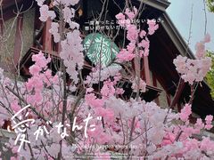 -星巴克臻选(思南公馆店)