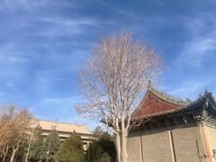 -张掖大佛寺景区