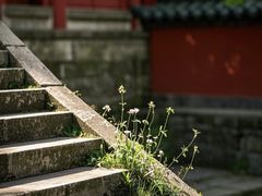 -开福禅寺