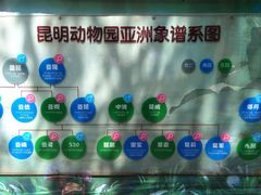 -昆明动物园