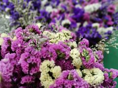 -昆明国际花卉拍卖交易中心