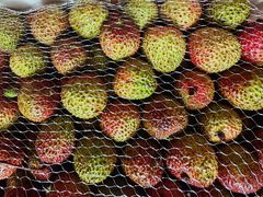 -山姆会员商店(大连店)