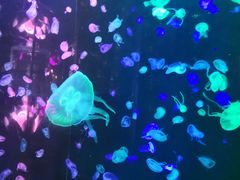 -大明湖海底世界