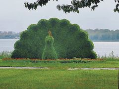 -武清南湖绿博园