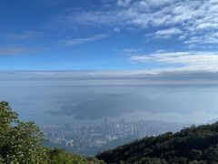 -梧桐山风景名胜区