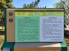-玲珑塔公园