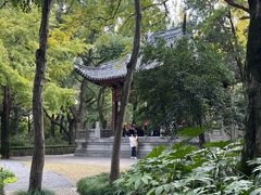 -汇龙潭