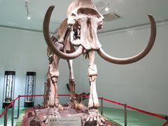 -南通洲际绿博园