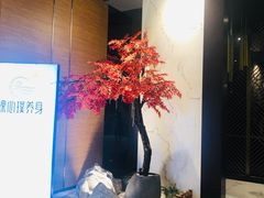-璞·澐间影院式足道SPA(尚悦湾店)