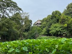 -成都杜甫草堂博物馆
