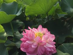 -处女泉风景名胜区