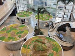 -上海外滩茂悦大酒店