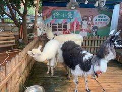 -佟小曼手工茶饼坊(鼓浪屿1店)
