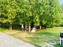 -朝阳公园游乐园