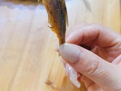 -霞姐屯昌枫木香草鸭店(海螺店)