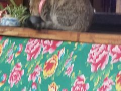 -飘香酒馆·私房菜