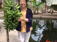 -万源龙顺度假庄园生态观光园