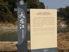 -九龙江国家森林公园