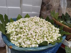 -一坐一忘云南菜(卓悦中心)