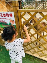 -萌宠亲子动物乐园(槐房万达店)