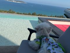 -瑰丽酒店·海吧·天际下午茶·现场DJ·天台酒吧