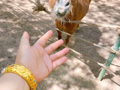 -鄂尔多斯野生动物园