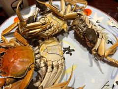 -松子料理(亮马桥店)
